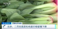 廣州農副產品配送了解二月份蔬菜價格穩(wěn)步下降