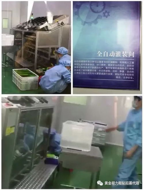 黃金視力眼貼新工廠開放日 代理商參觀見證品質升級，國內廣告布局引領市場新浪潮