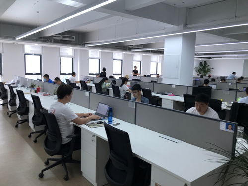 聚焦石家莊電子信息產業 神玥軟件堅持數字化發展，迎來發展黃金期